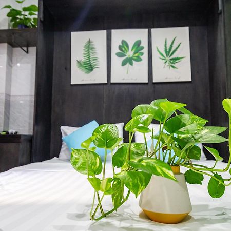 Cola'S Homestay Cidade de Ho Chi Minh Exterior foto